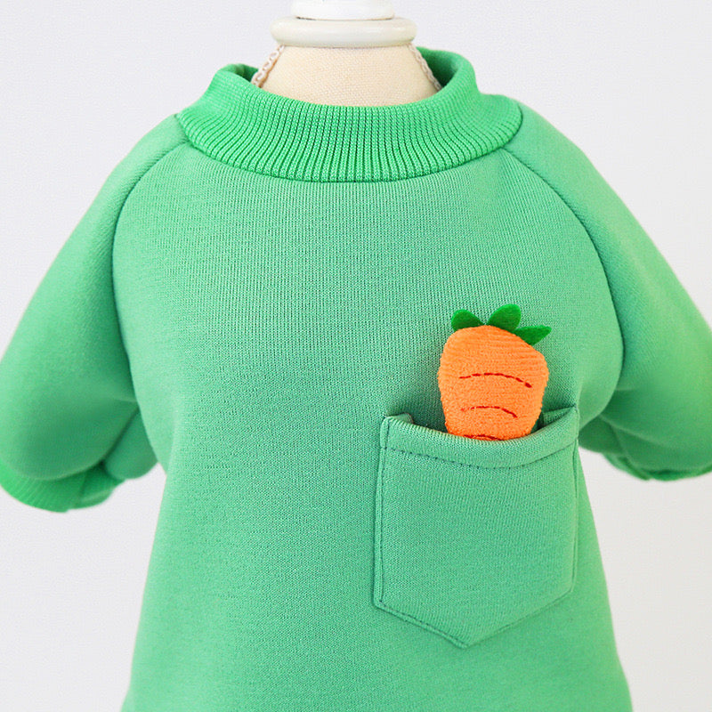 Green Jumper with Carrot